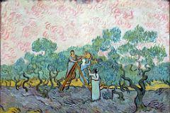 13 Women Picking Olives - Vincent van Gogh 1889 - New York Metropolitan Museum of Art.jpg